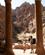 824 Soejler Uden For Gartnerens Tempel Petra Jordan Anne Vibeke Rejser DSC08843