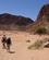 929 Mod Trae Ved Lawrences Kilde Wadi Rum Jordan Anne Vibeke Rejser DSC08926