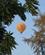 818 Luftballon Bawga Theiddhi Hotel Bagan Myanmar Anne Vibeke Rejser IMG 4805