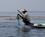 1200 Fisker Paa Inle Soeen Myanmar Anne Vibeke Rejser DSC03722