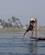 1227 Fisker Paa Inle Soeen Myanmar Anne Vibeke Rejser DSC03746