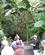 102 Singapore Botaniske Have Anne Vibeke Rejser IMG 4640