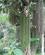 106 Fiskehalepalme Hunas Falls Hotel Sri Lanka Anne Vibeke Rejser IMG 3756