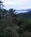 110 Morgenstemning Over Hoejlandet Hunas Falls Hotel Sri Lanka Anne Vibeke Rejser IMG 3725