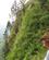 136 Ved Udsigtspunktet Paa Shaheen Hill Hunas Falls Hotel Sri Lanka Anne Vibeke Rejser IMG 3771