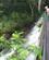 142 Over Daemning Ved Den Opdaemmede Soe Hunas Falls Hotel Sri Lanka Anne Vibeke Rejserimg 3760