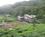 500 The Rainforest Eco Lodge Sinharaja Sri Lanka Anne Vibeke Rejser IMG 4218