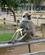 906 En Langur Stjal Lidt Frugt Kataragama Sri Lanka Anne Vibeke Rejser IMG 4335