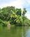 1418 Landgang Paa Cinanmon Island Maduganga Floden Sri Lanka Anne Vibeke Rejser IMG 4551