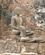 804 Statuer Paa Templet Prang Sam Yot I Lopburi Thailand Anne Vibeke Rejser DSC08135