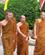 810 Buddhistiske Munke Thailand Anne Vibeke Rejser IMG 7200