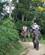 1720 Ridetur Paa Elefantryg Mea Sa Chiang Mai Thailand Anne Vibeke Rejser DSC08454