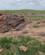 308 Landsdkabet I Ikh Nart National Park Gobi Oerkenen Bornogobi Mongoliet Anne Vibeke Rejser IMG 2619