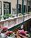 128 Balkon Over Gaardhave Tjong A Fie Mansion Medan Sumatra Indonesien Anne Vibeke Rejser IMG 3303