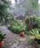 212 Skybrud Hotel Eco Lodge Bukit Lawang Sumatra Indonesien Anne Vibeke Rejser IMG 3353