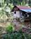 239 Hus I Udkanten Af Regnskoven Gunug Leuser National Park Bukit Lawang Sumatra Indonesien Anne Vibeke Rejser IMG 3332