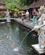 643 Kvindestatuer I Basinhjoernerne Vandtemplet Tirtha Empul Bali Indonesien Anne Vibeke Rejser IMG 3624