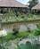 650 Havebassiner Ved Restaurant Pangkon Bali Indonesien Anne Vibeke Rejser IMG 3632