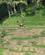 663 Svaeve Paa Zipline Abian Desa Bali Indonesien Anne Vibeke Rejser IMG 3649