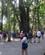 676 Omkring Det Gamle Trae Monkey Forest Bali Indonesien Anne Vibeke Rejser IMG 3684