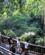 679 Rundt Monkey Forest Bali Indonesien Anne Vibeke Rejser IMG 3705