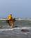 Belgien Flandern Vestflandern Heste Fiske Oostdunkerke Foto Anne Vibeke Rejser 2025 (5)