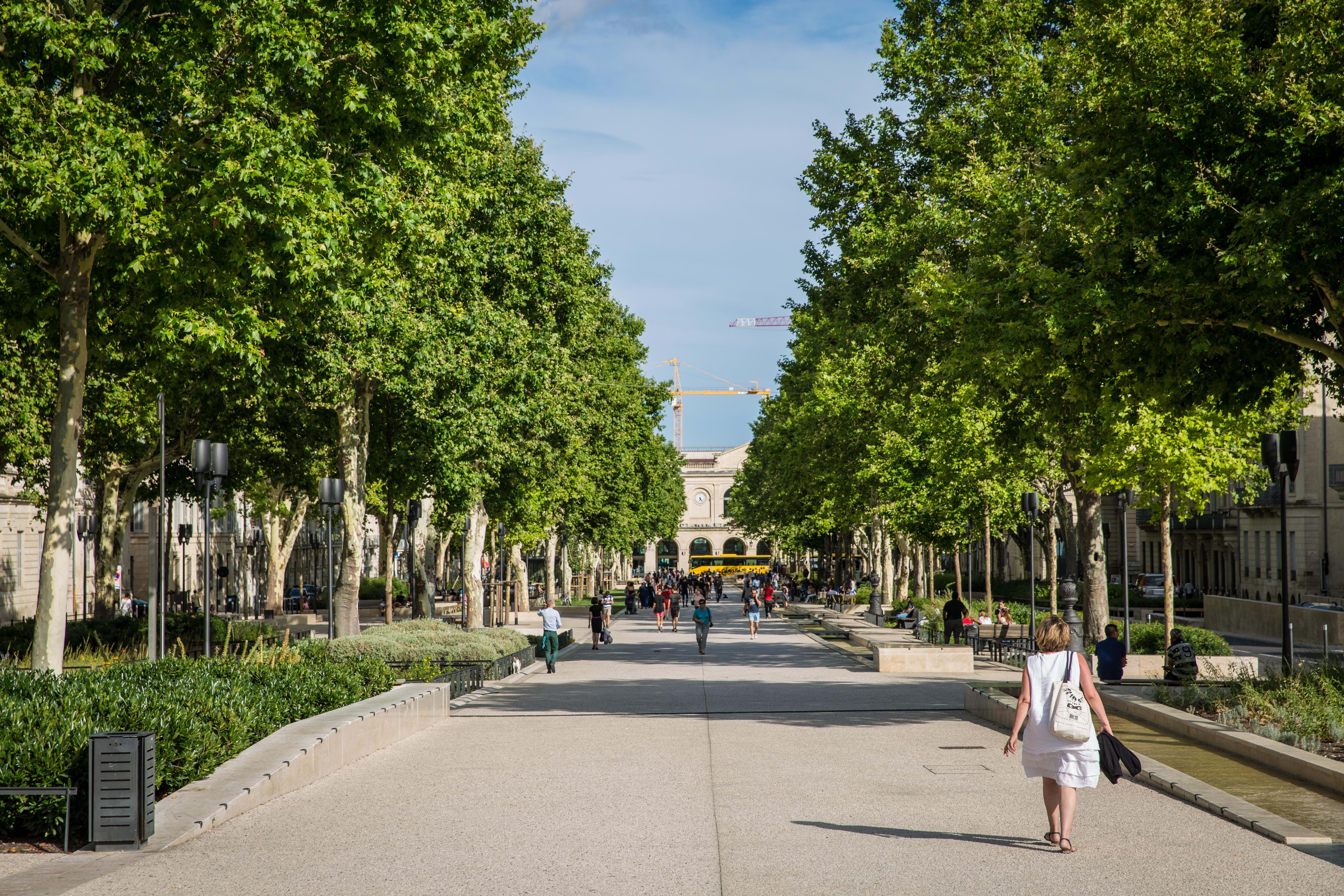 Frankrig Rhone Nimes Anne Vibeke Rejser Foto Rasmus Schønning 2024 (3)