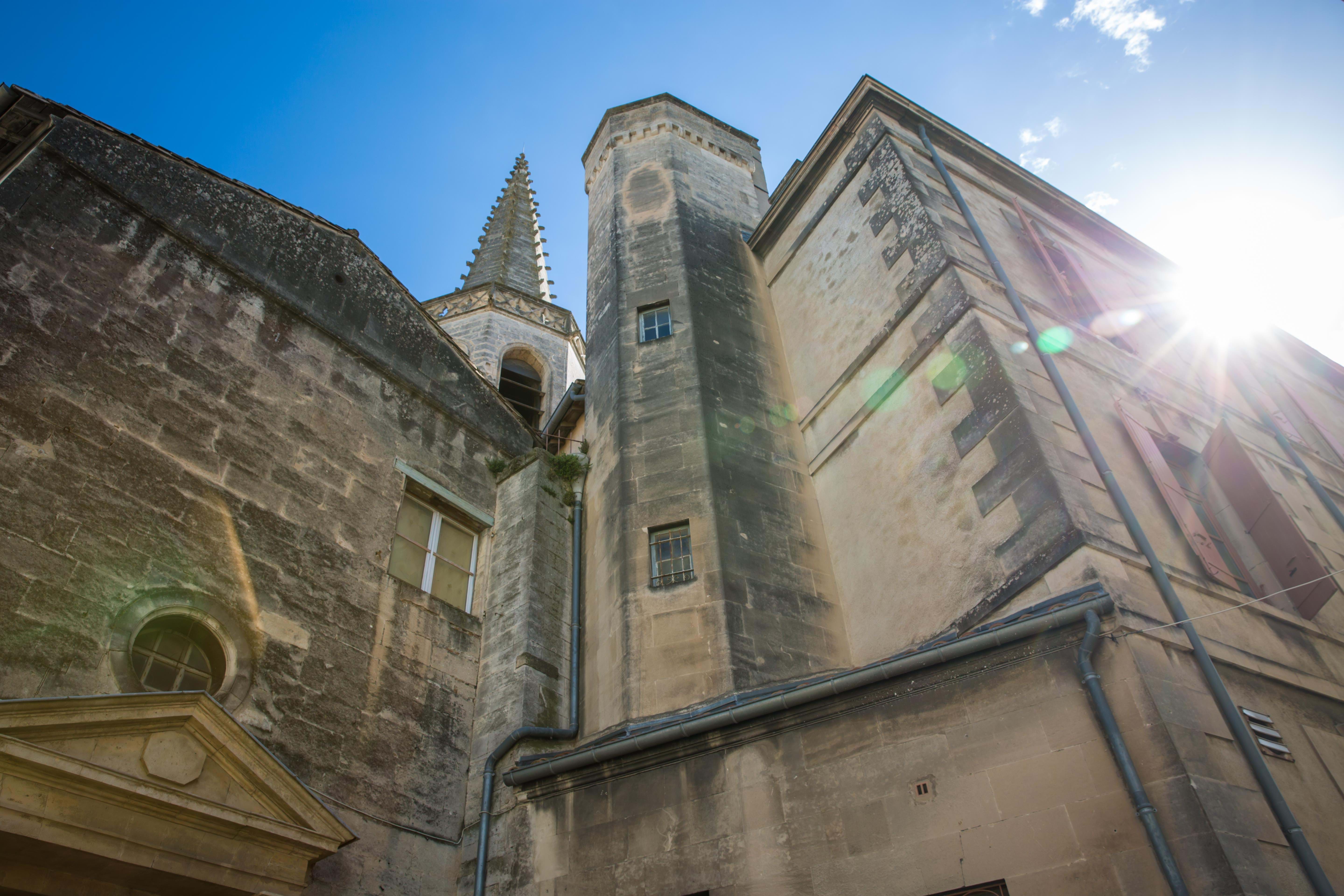 Frankrig Rhone Arles Anne Vibeke Rejser Foto Rasmus Schønning 2024 (4)