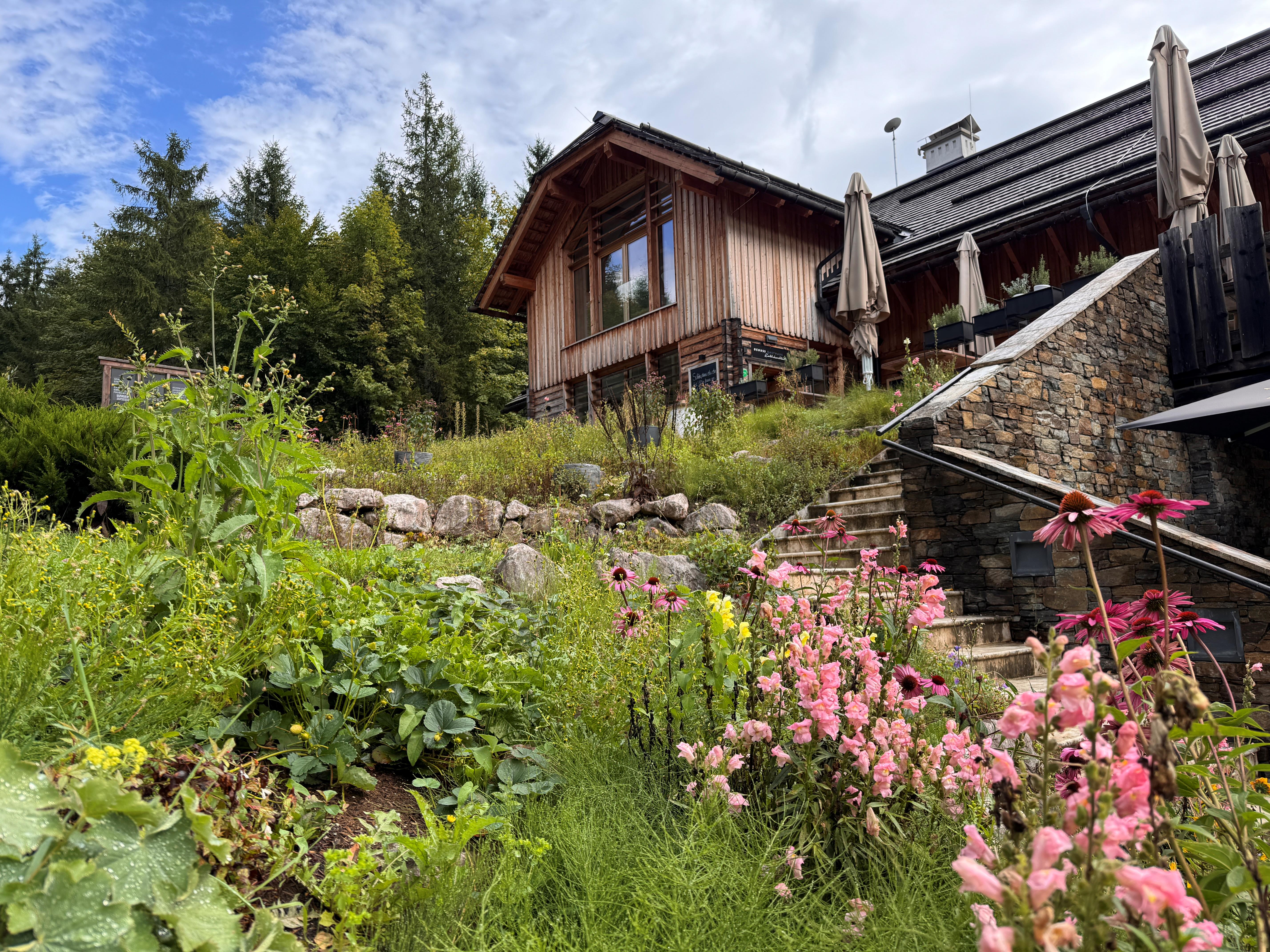 Østrig Steiermark Odense Kaisersschmarn Foto Anne Vibeke Rejser 2025 (2)