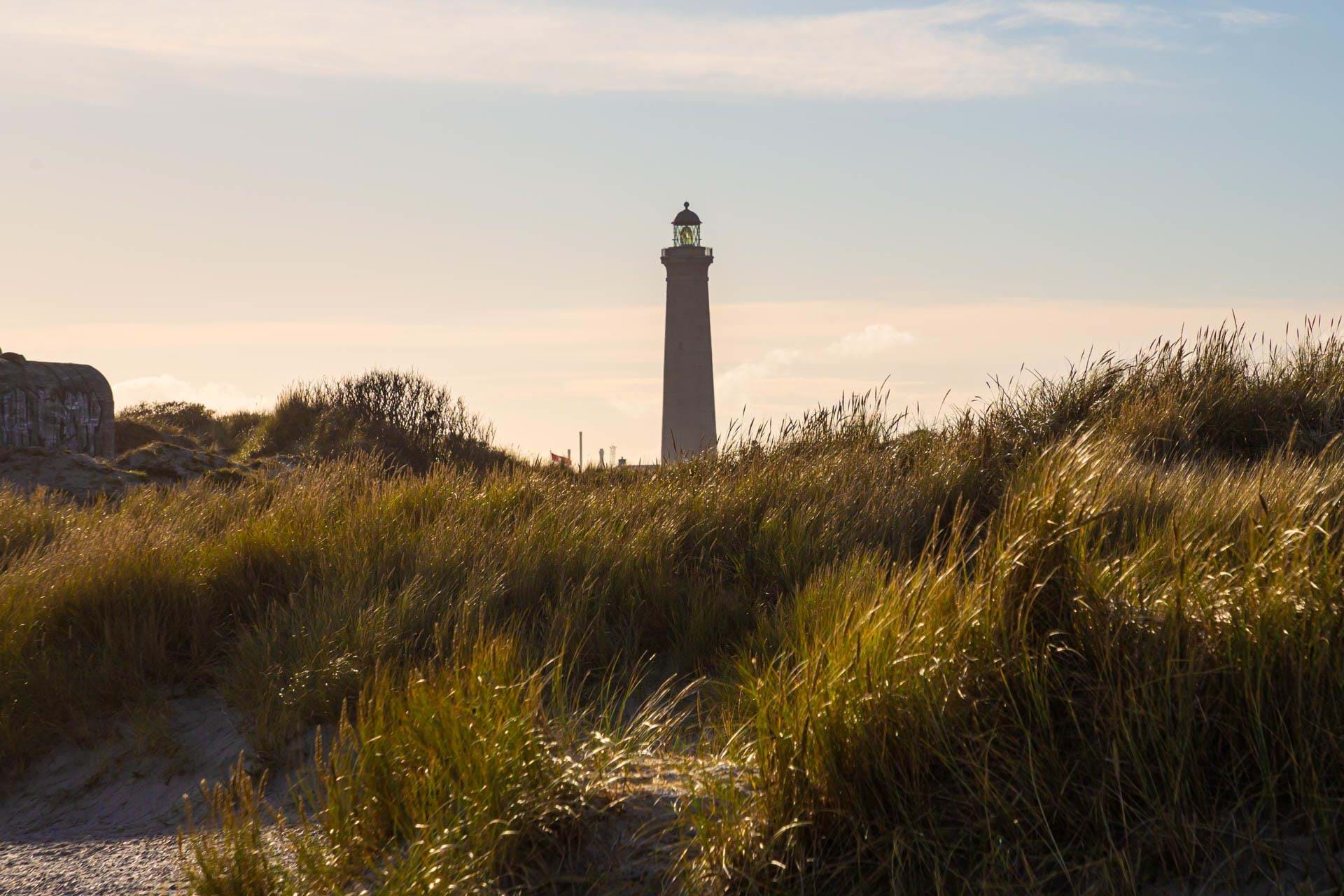 1 11 2020 Danmark Skagen Nordjylland Aalbaek Foto Anne Vibeke Rejser 2020 Foto Rasmus Schoenning (28)