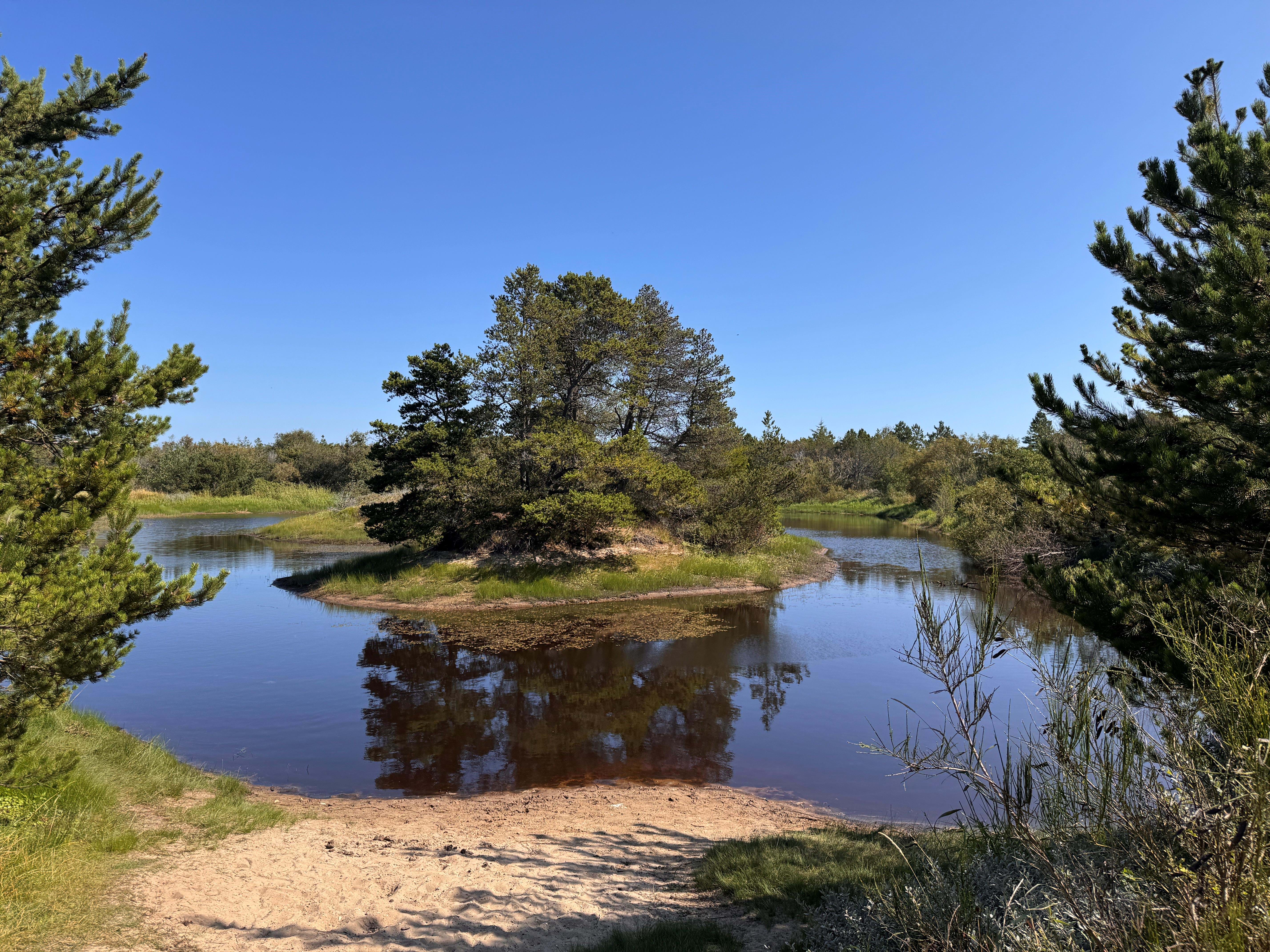 Danmark Skagen Foto Lasse Løndahl 2025 (23)