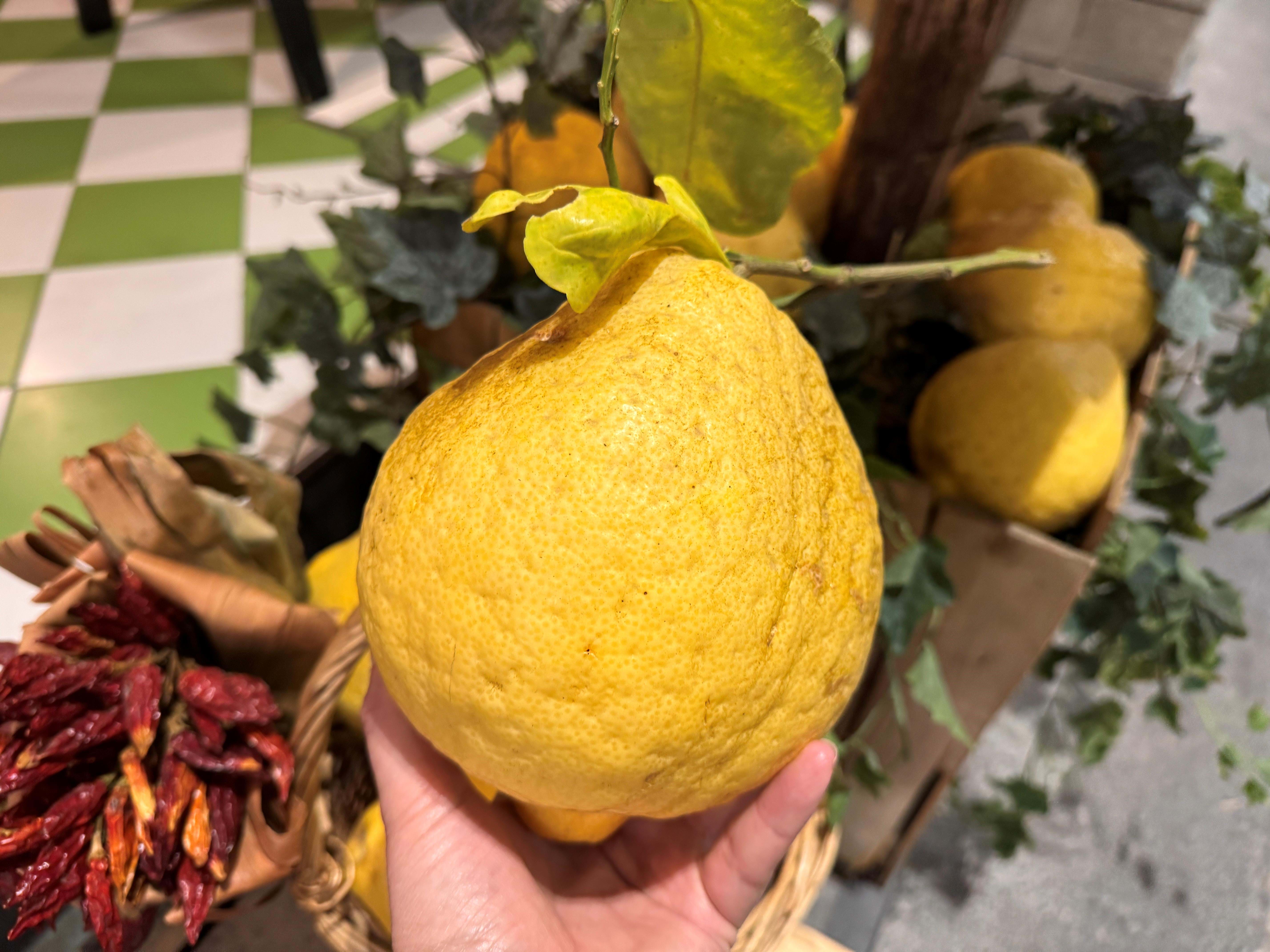 Italien Amalfikysten Sorrentohalvøen 2025 Foto Anne Vibeke Rejser (3)