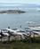 Grønland Ilulissat Diskobugten Ilimanaq Foto Anne Vibeke Rejser 2026 (10)